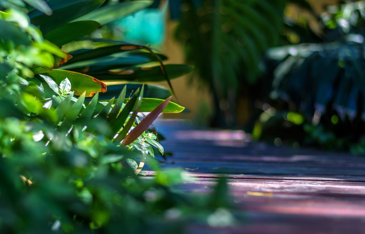86 On Langenhoven Bed & Breakfast Oudtshoorn Bagian luar foto