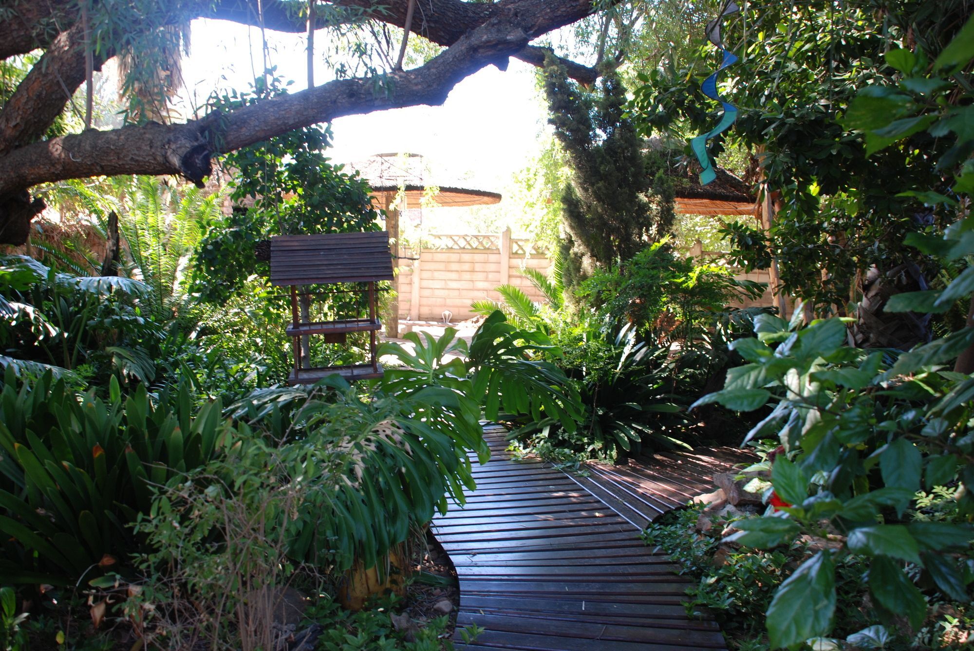 86 On Langenhoven Bed & Breakfast Oudtshoorn Bagian luar foto